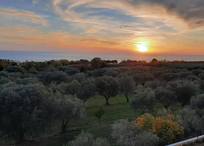 Apartma Coccolo