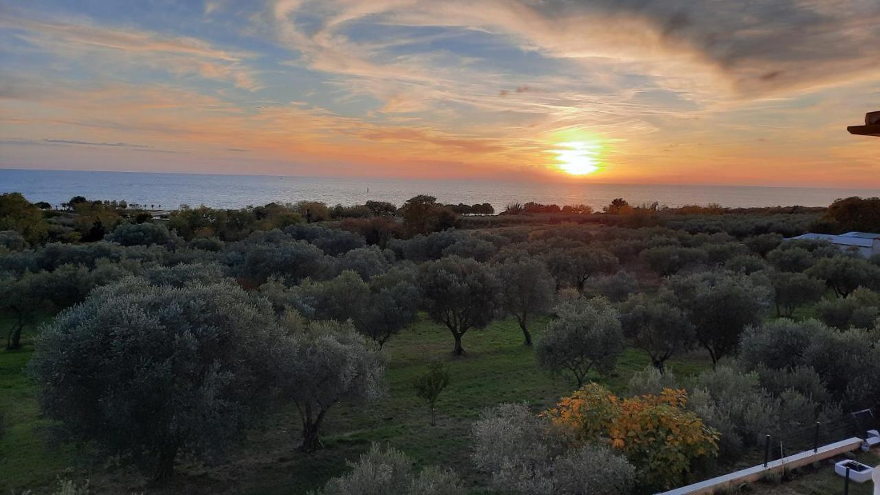 Apartma Coccolo *