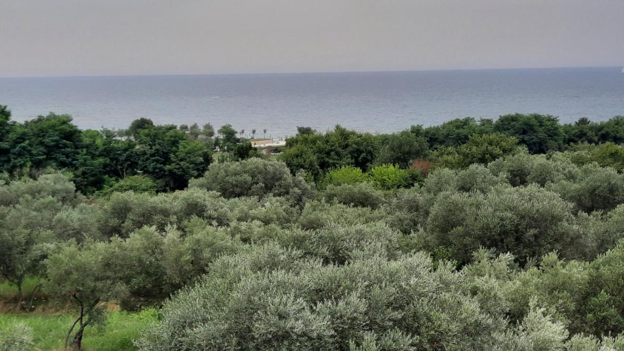 Apartma Coccolo Apartment *
